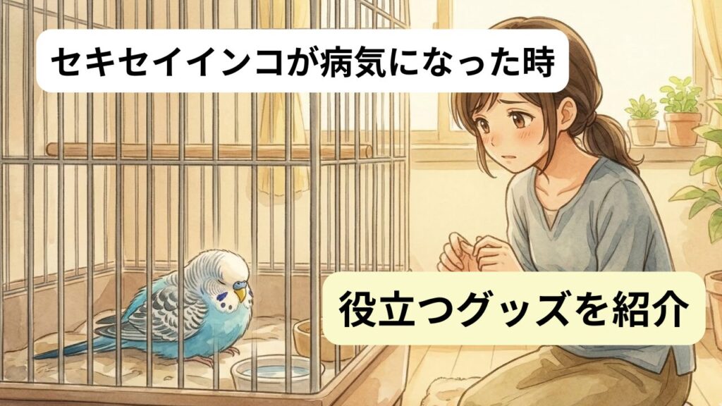 病気のセキセイインコを心配する飼い主