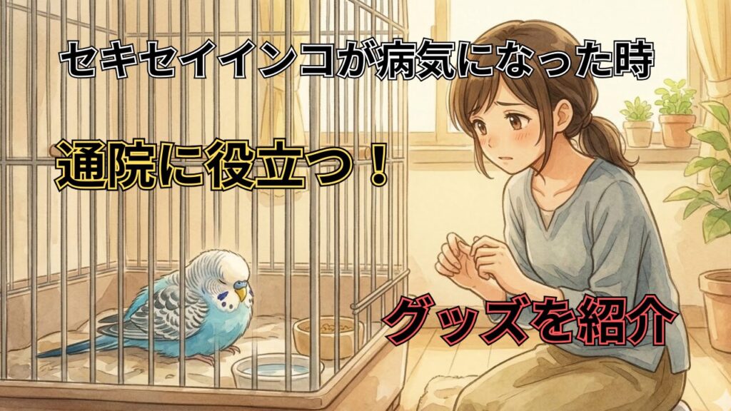 セキセイインコが病気になった時に役立つグッズを紹介